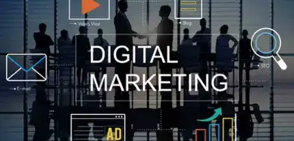Custom Website Design